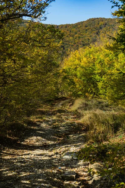 Paisagem montanhosa outonal — Fotografia de Stock