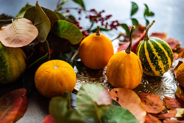 Concepto de tarjeta otoñal con calabaza — Foto de Stock