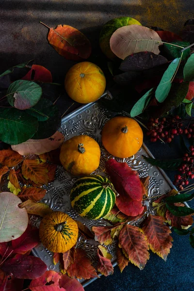 Herbstliches Kartenkonzept mit Kürbis — Stockfoto