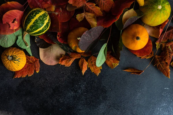 Concepto de tarjeta otoñal con calabaza — Foto de Stock