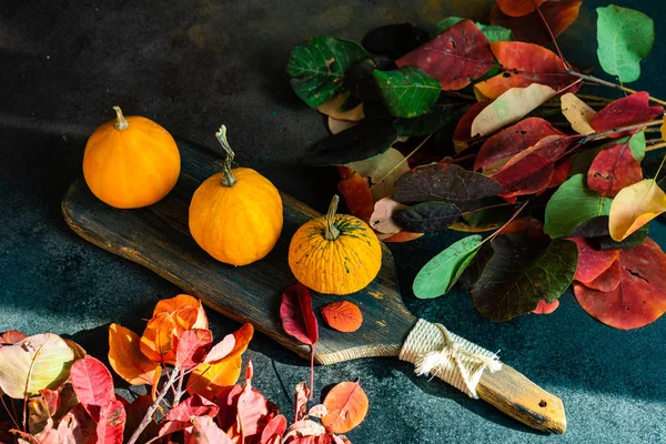 Concepto de tarjeta otoñal con calabaza — Foto de Stock