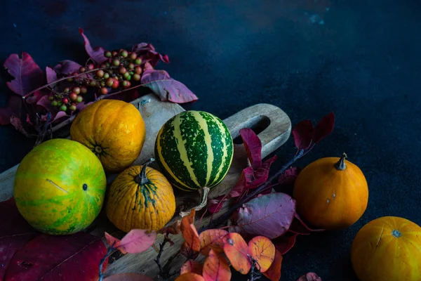 Concepto de tarjeta otoñal con calabaza — Foto de Stock