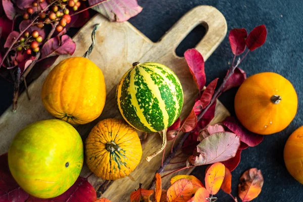 Concepto de tarjeta otoñal con calabaza — Foto de Stock