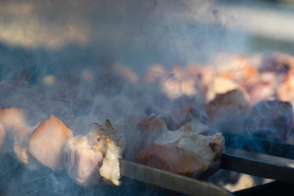 Vepřové Maso Grilu Jarní Zahradě Jako Piknikový Koncept — Stock fotografie