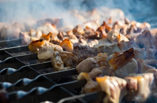 Sertéshús Grillen Tavaszi Kertben Piknik Koncepcióként — Stock Fotó