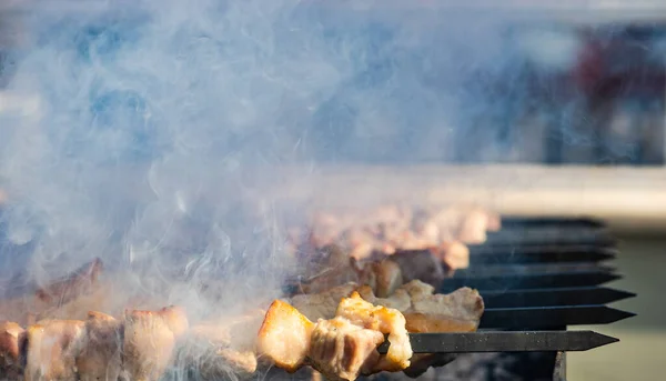 Sertéshús Grillen Tavaszi Kertben Piknik Koncepcióként — Stock Fotó