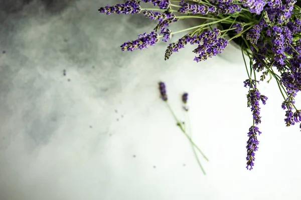 Conceito Cartão Verão Com Planta Floração Lavandula Fresca Fundo Pedra — Fotografia de Stock