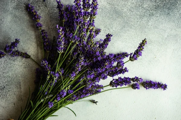 Conceito Cartão Verão Com Planta Floração Lavandula Fresca Fundo Pedra — Fotografia de Stock