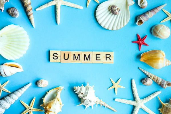 Summer Frame Sea Stars Shells Blue Background Copy Space — Stock Photo, Image