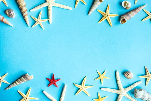 Marco Verano Con Estrellas Mar Conchas Sobre Fondo Azul Con — Foto de Stock