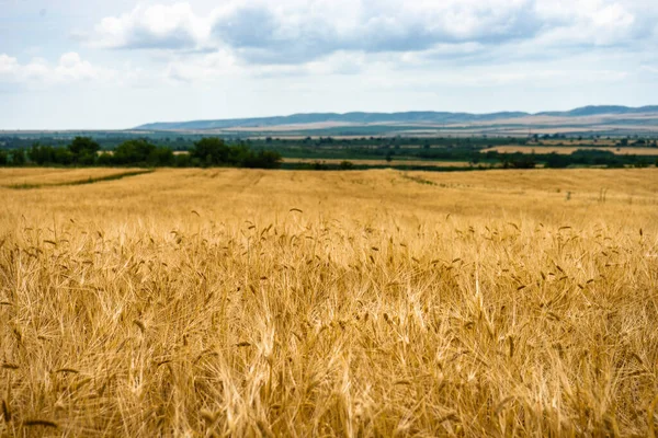 Paisagem Rural Kakhetiana Geórgia Com Campos Céu — Fotografia de Stock