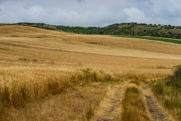 Paisagem Rural Kakhetiana Geórgia Com Campos Céu — Fotografia de Stock