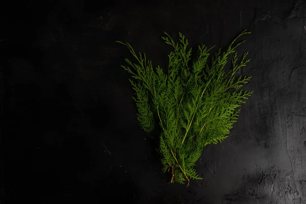 Концепція Різдвяної Рамки Свіжими Зеленими Гілками Туї Чорному Бетонному Фоні — стокове фото