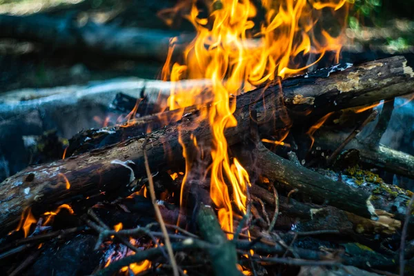 Quema Carbón Con Fuego Lugar Parrilla — Foto de Stock