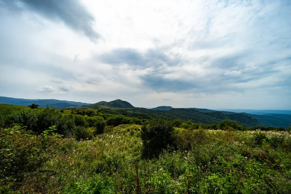 Sommerzeit Auf Dem Gipfel Des Gombori Passes Als Reiselandschaft — Stockfoto