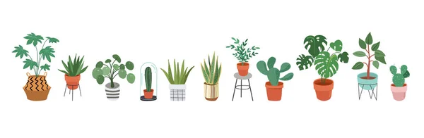 Stedelijke jungle, trendy interieur met planten, plantenbakken, cactussen, tropische bladeren — Stockvector