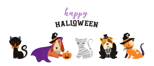 Feliz Halloween - gatos y perros en trajes de monstruos, fiesta de Halloween. Ilustración vectorial, banner, conjunto de elementos — Vector de stock