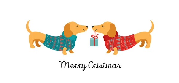 Noel köpekler, sevimli hayvanlar gibi knited bir şapka, kazak, aksesuarlar ile mutlu Noeller resimler koleksiyonu eşarplar — Stok Vektör