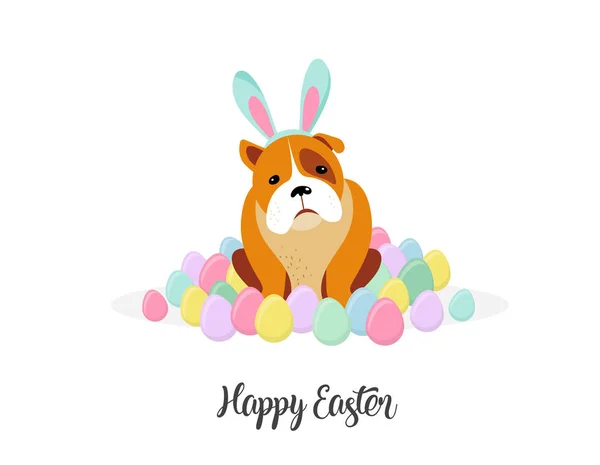 快乐的复活节卡片, 狗穿着兔子服装被复活节彩蛋包围 — 图库矢量图片