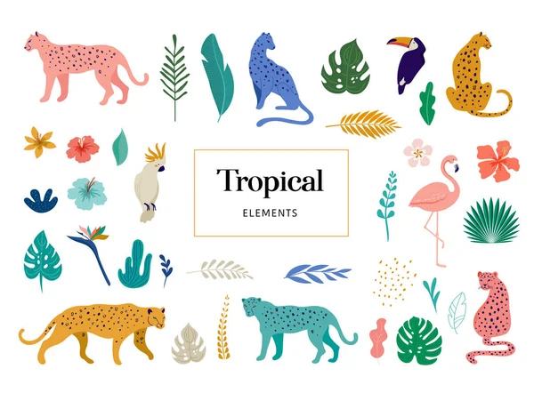 Tropische exotische Tiere und Vögel - Leoparden, Tiger, Papageien und Tukane Vektor Illustration. Wildtiere im Dschungel, Regenwald — Stockvektor