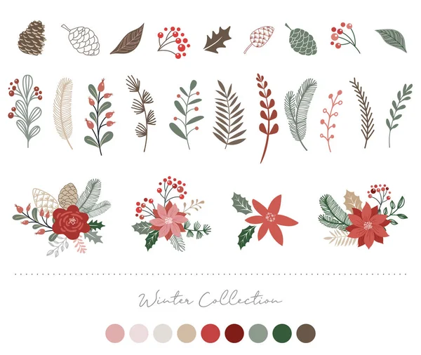 Natal botânico, elementos de Natal, flores de inverno, folhas, pássaros e pinhas isoladas em fundos brancos . —  Vetores de Stock