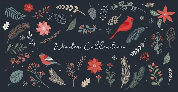 Botanické Vánoce, Vánoční prvky, zimní květiny, listy, ptáci a borovice izolované na bílém pozadí. — Stockový vektor
