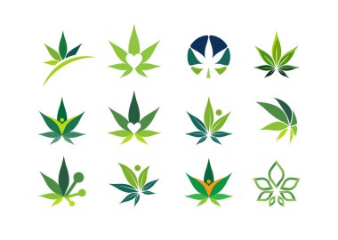 Kenevir yaprağı, tıbbi marihuana, CBD yağı, sembol ve logo. Vektör tasarımı