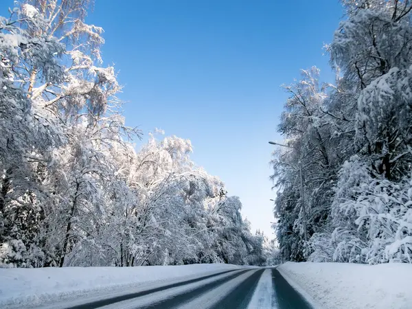 大雪后一个阳光明媚的冬日午后的森林里的路 — 图库照片