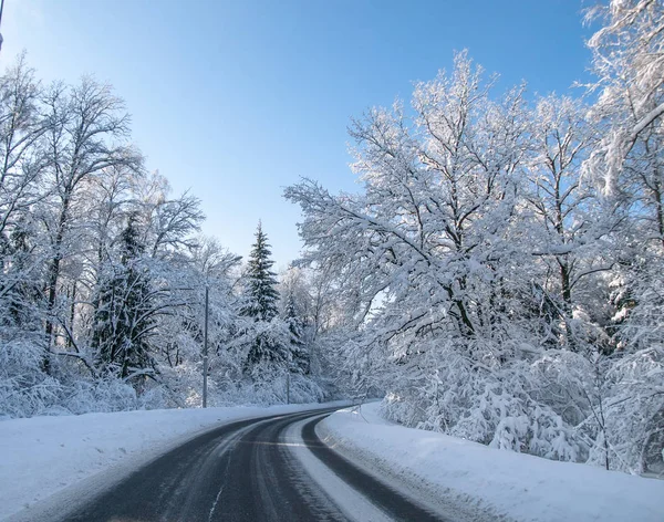 大雪后一个阳光明媚的冬日午后的森林里的路 — 图库照片