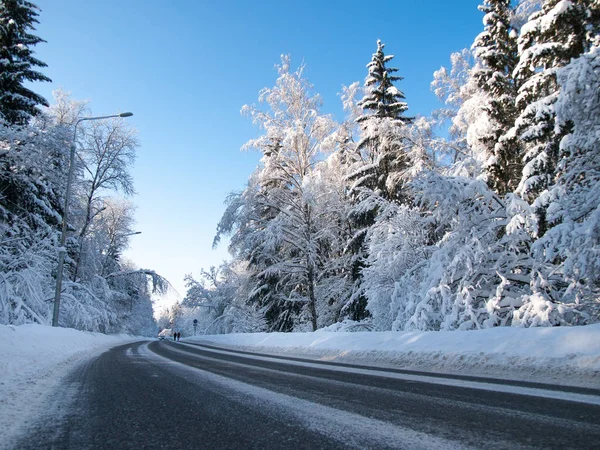 大雪后一个阳光明媚的冬日午后的森林里的路 — 图库照片