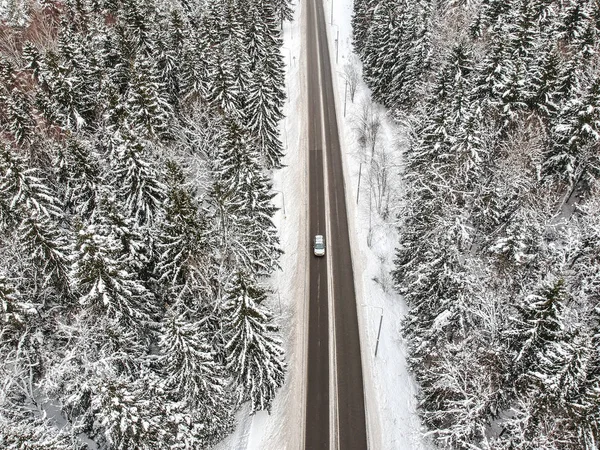 在寒冷的日子里, 冬天的森林里有一条路 — 图库照片