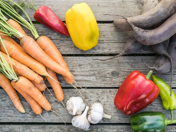 Vers Geplukte Biologische Huisgemaakte Groenten Een Houten Ondergrond — Stockfoto