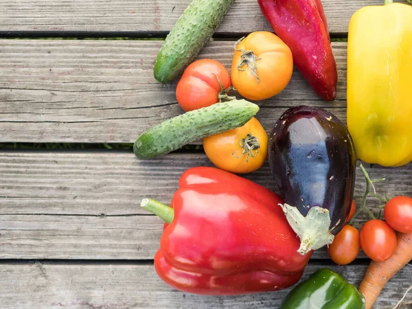 Verduras Orgánicas Cultivadas Casa Recién Recogidas Sobre Fondo Madera —  Fotos de Stock