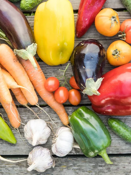 Freshly Picked Organic Home Grown Vegetables Wooden Background — Stock Photo, Image