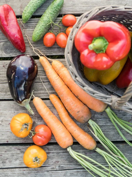 Verduras Orgánicas Cultivadas Casa Recién Recogidas Sobre Fondo Madera —  Fotos de Stock