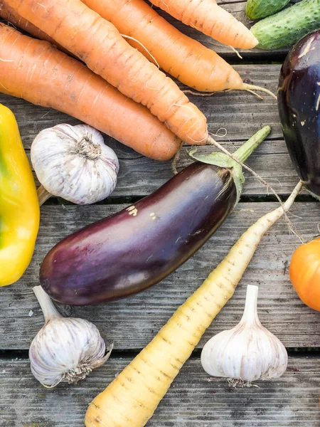 Verduras Orgánicas Cultivadas Casa Recién Recogidas Sobre Fondo Madera —  Fotos de Stock