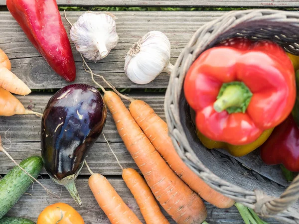 Verduras Orgánicas Cultivadas Casa Recién Recogidas Sobre Fondo Madera —  Fotos de Stock