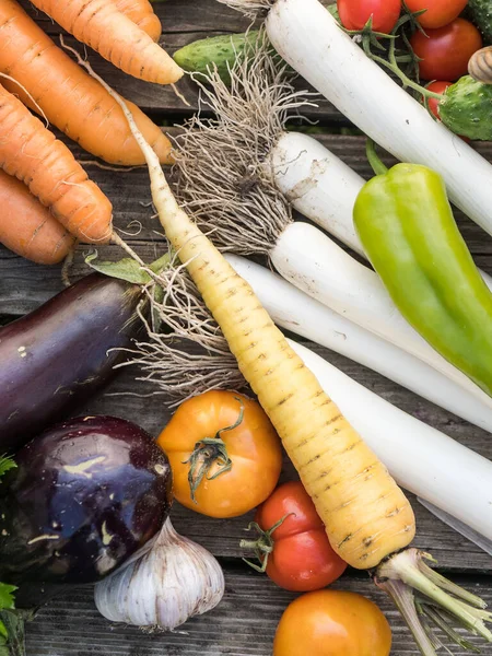 Verduras Orgánicas Cultivadas Casa Recién Recogidas Sobre Fondo Madera —  Fotos de Stock