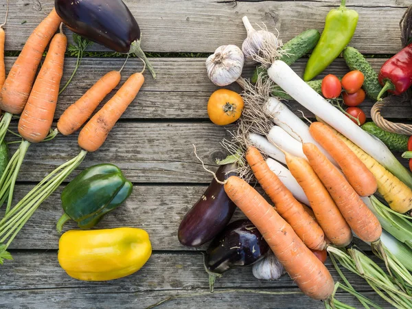 Vers Geplukte Biologische Huisgemaakte Groenten Een Houten Ondergrond — Stockfoto