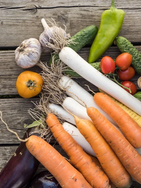 Freshly Picked Organic Home Grown Vegetables Wooden Background — Stock Photo, Image