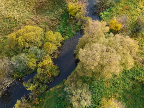 Aerial Drone View Autumn Forest Small River Sunny Day — Stock Photo, Image