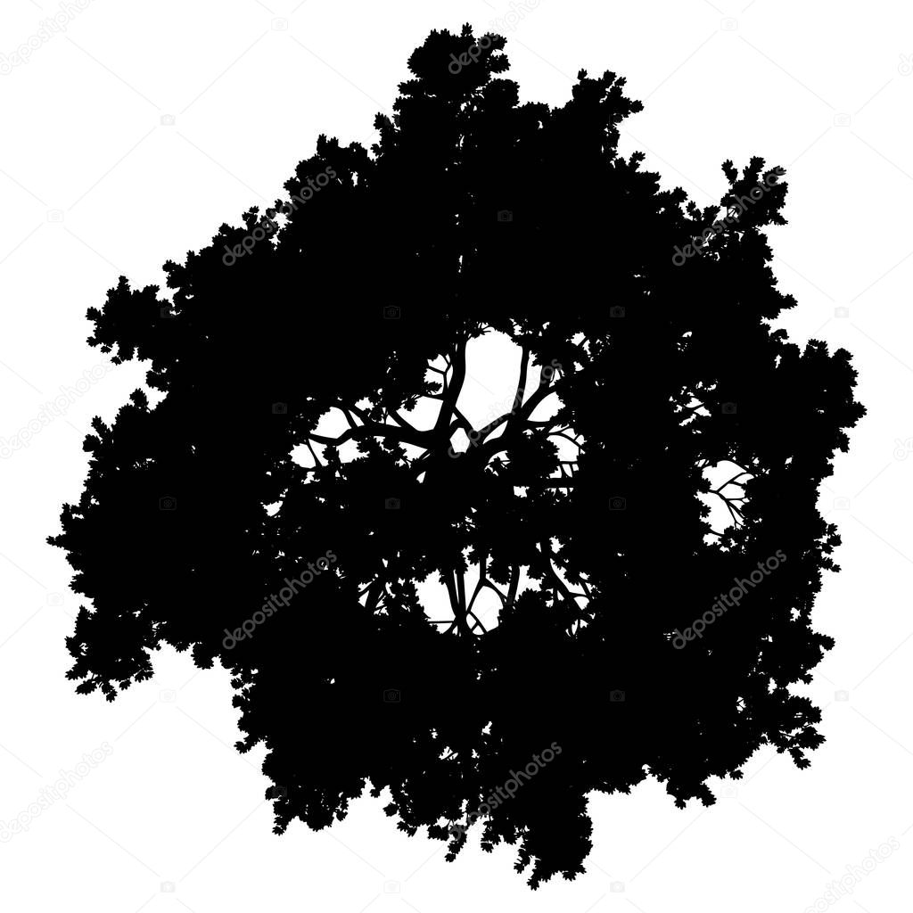 Tree top silhouette isolated - black simple detailed - vector illustration