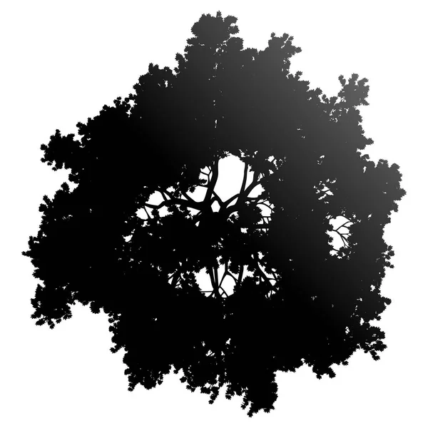 Tree Top Silhouette Isolated Black Gradient Detailed Vector Illustration — Stock vektor