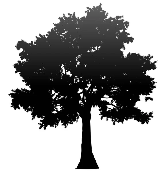 Silhouette Profil Arbre Isolée Dégradé Noir Détaillé Illustration Vectorielle — Image vectorielle