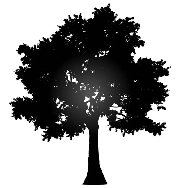 Träd Profil Siluett Isolerade Svart Lutning Detaljerade Vektorillustration — Stock vektor