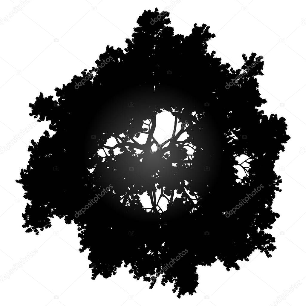 Tree top silhouette isolated - black gradient detailed - vector illustration