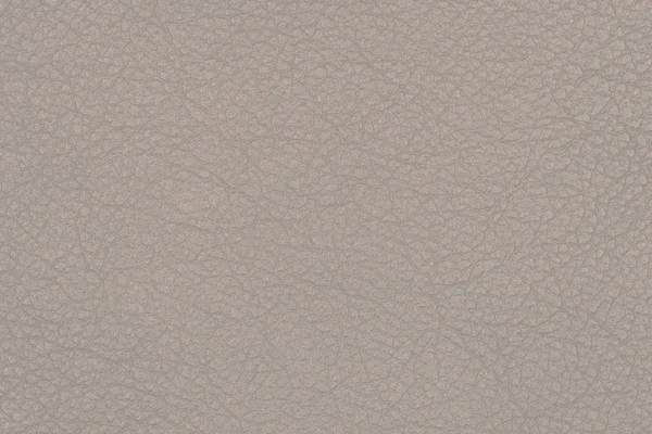 Natural Brown Leather Texture Top View — Stock Photo, Image