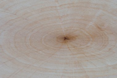 Ahşap arka plan doku kapatın. Boş şablon.