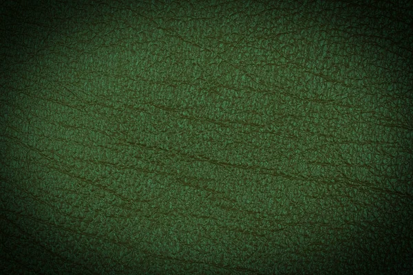 Green Leather Texture Closeup Useful Background — Stock Photo, Image