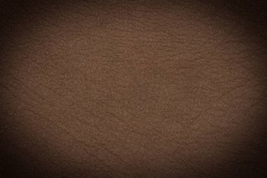 Doğal kahverengi deri doku. Üstten Görünüm.